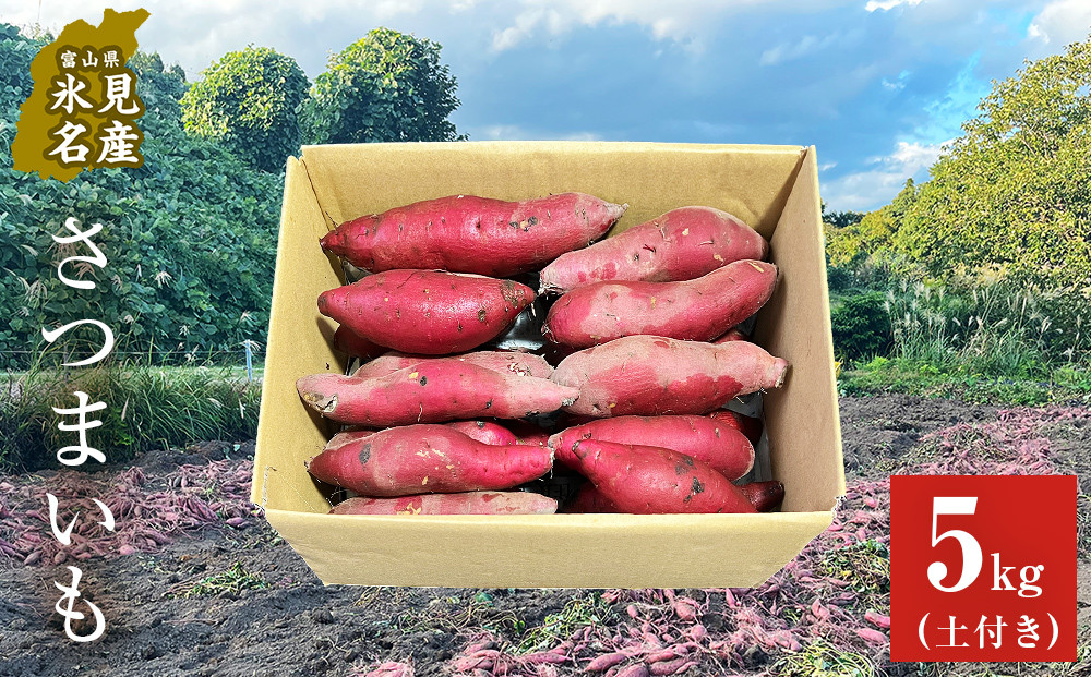 
                  【先行予約】 富山県産 さつまいも 5kg 【2025年12月以降順次発送】 
                