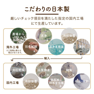  【老舗寝具メーカー監修】こだわりの二層式羽毛掛けふとん エンジ (シングル) ピンク系掛けふとんカバー付き 布団   寝具 セット ロマンス小杉 上質 羽毛布団