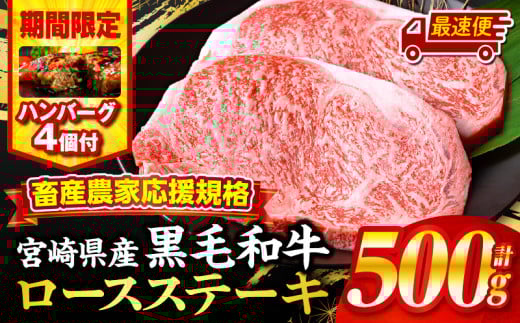 【最速便】【期間・数量限定】畜産農家応援！宮崎県産黒毛和牛ロースステーキ250g×2・国産牛ハンバーグ100g×4個_M132-091-B1-2W