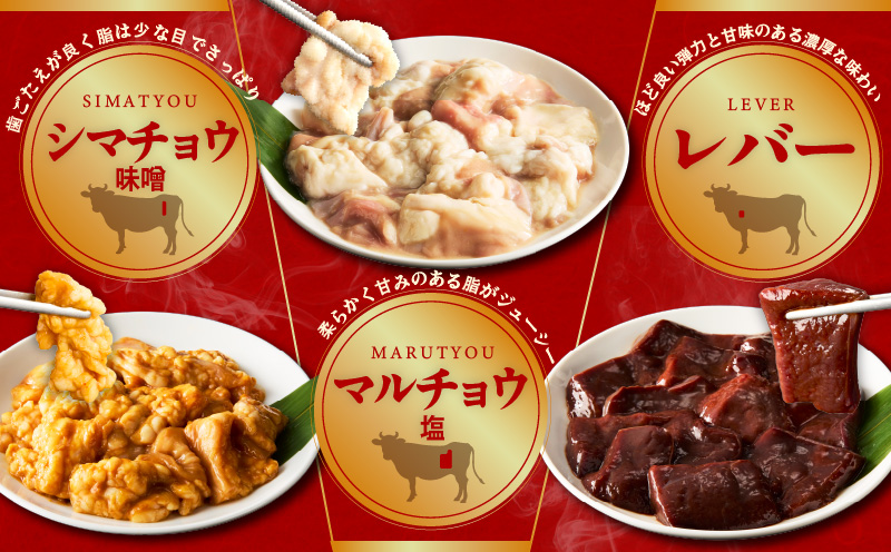 ホルモンミックス 6種セット 合計 1.5kg 秘伝のタレ漬け【食べ比べ 250g×6種 小分け 焼肉 牛肉 ハラミ ミノ センマイ レバー 小腸 大腸 】 010B1629