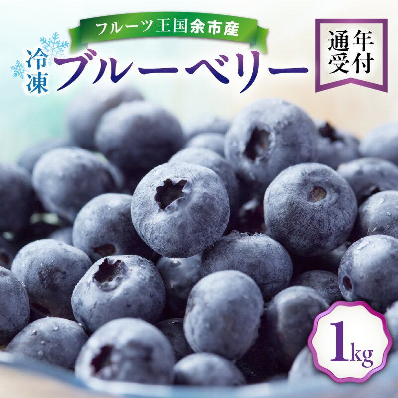 【ふるさと納税】【 先行予約 ： 8月下旬以降発送 】フルーツ王国余市産 冷凍ブルーベリー 1kg 【 ニトリ観光果樹園 】冷凍 国産 抗酸化作用 フルーツ 果物 お取り寄せ スムージー ジュース ヨーグルト ジャム アレンジ 送料無料 北海道 余市町