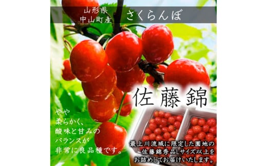 【定期便3回】山形市至高のフルーツ定期便 全3回C 6月発送