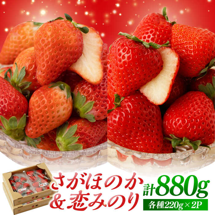 【ふるさと納税】 【先行予約】食べ比べ！恋みのり＆さがほのか 計880g（各種220g×2パック）詰め合わせ セット【鐘ヶ江農園】イチゴ 苺 直送 新鮮 果物 フルーツ 産地直送 佐賀県 白石町 [IBH011]