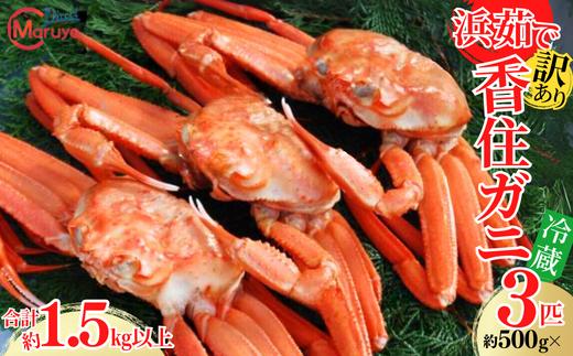 【 訳あり 浜茹で香住ガニ 計1.5kg以上(500g×3匹)】冷蔵 チルド ボイル 茹で香住ガニ  紅ずわいがに 紅ズワイガニ ベニズワイガニ 強い甘み 瑞々しくジューシー 兵庫県 香美町 香住 マルヨ食品 マルヨダイレクト 17000円 17-24