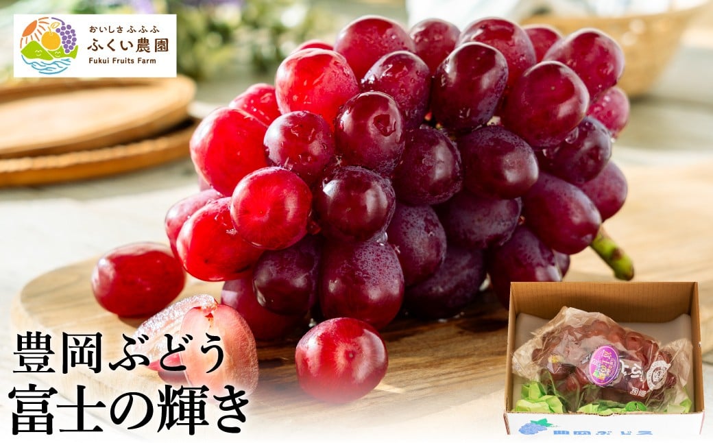 
            富士の輝き 600g 大粒 減農薬 豊岡ぶどう / 富士の輝 富士のかがやき 糖度20～23前後 甘い 豊岡ブドウ 産地直送 濃厚 甘味 コク 皮ごと 食べられる ぶどう ブドウ 葡萄 果物 くだもの フルーツ ふくい農園
          