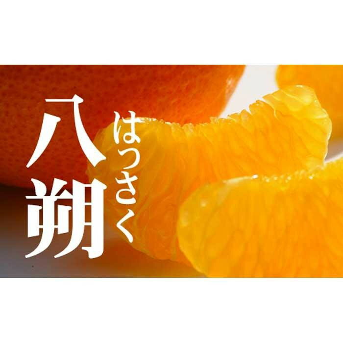 【ふるさと納税】赤秀 はっさく 八朔 ハッサク 6kg｜和歌山市産 まごころ産直みかん 木成り 完熟はっさく 柑橘 みかん フルーツ 和歌山みかん 国産 産地直送 甘酸っぱくて爽やか！［Mg26］ | 柑橘はっさく柑橘 フルーツ 果物 くだもの 食品人気 おすすめ 送料無料