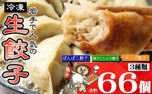 国産 冷凍 生餃子 食べ比べ 3種 計66個 【生餃子専門店ぽんぽこ】 ぎょうざ 餃子 ギョーザ ギョウザ 惣菜 総菜 おかず 弁当 冷凍餃子 冷凍食品 冷食 自宅用 家庭用 仕送り お取り寄せ プレーン チーズ 柚子胡椒 詰め合わせ 詰合せ 詰め合せ 詰合わせ セット 人気 おすすめ