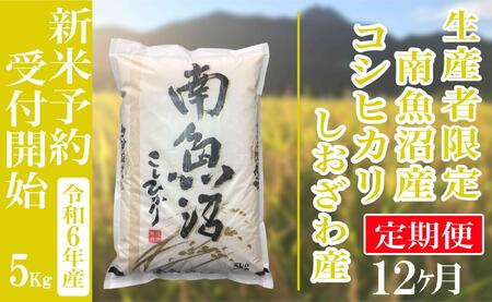 【新米予約・令和6年産】定期便12ヶ月：精米5kg生産者限定 南魚沼しおざわ産コシヒカリ