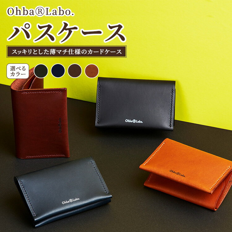 【ふるさと納税】【選べるカラー】パスケース