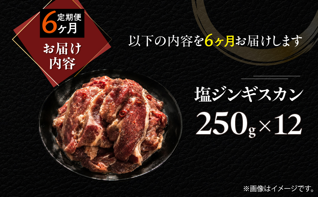 【6ヶ月定期便】塩ジンギスカン250g×12 MROA239 ６回 １２パック