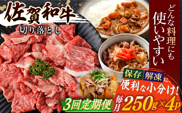 
                  【3回定期便】佐賀和牛 切り落とし 計1kg(250g×4p)【一ノ瀬畜産】 [NAC165]  牛肉  佐賀県産 黒毛和牛 ブランド牛 牛肉 切り落とし きりおとし
                