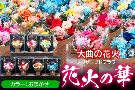プリザーブドフラワー 花火の華【カラーおまかせ】1個