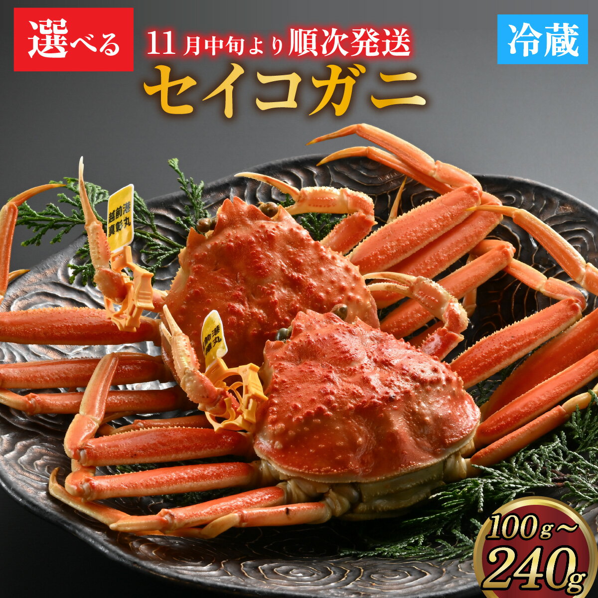 【ふるさと納税】【先行予約】蟹好きにおすすめ！老舗カニ専門店のセイコガニ 中サイズ（約100～150g）2杯 or 大サイズ（200～240g）2杯【11月中旬より順次発送】 / 選べる サイズ カニ かに かにボイル かにみそ 越前ガニ ズワイガニ ずわい蟹 ズワイガニ 姿 福井 国産 冷蔵