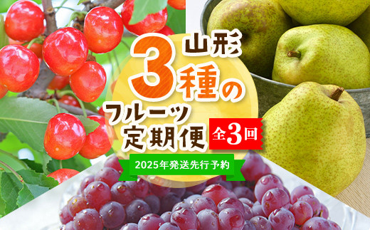 【2025年度 先行予約】3種のフルーツ定期便 全3回 さくらんぼ ぶどう 梨 果物 フルーツ FSY-2061
