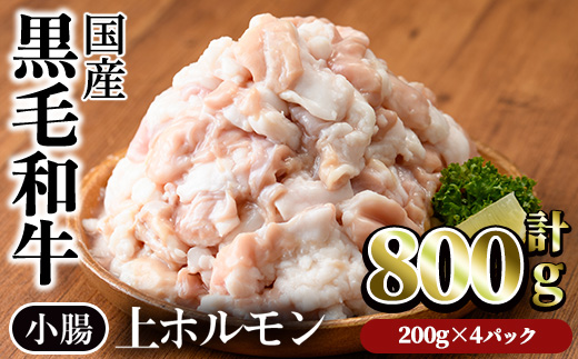 【鮮度抜群！】国産黒毛和牛小腸（上ホルモン計800g） ホルモン 焼肉 黒毛和牛【カミチク】A827