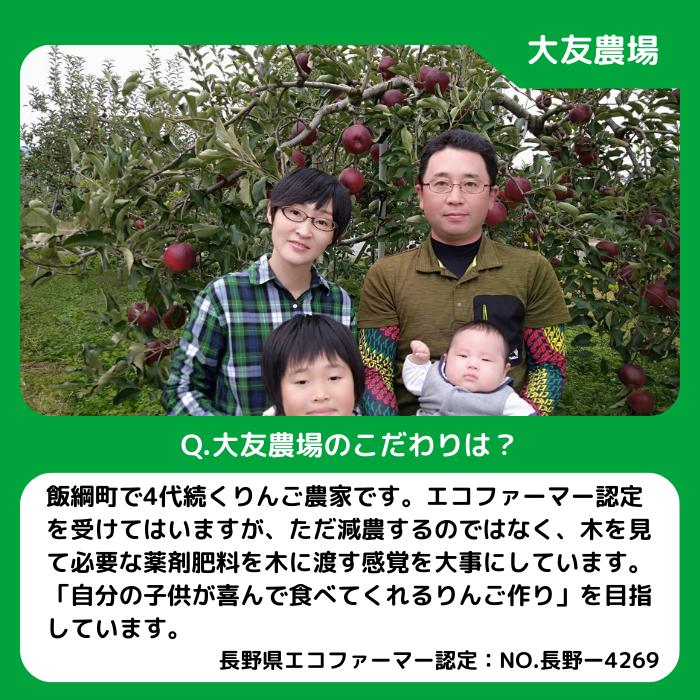 旬のりんご シナノ 3連星 【 定期便 】 家庭用 3kg × 3回 大友農場 エコファーマー認定 沖縄県への配送不可 2026年8月下旬頃から2027年1月中旬頃まで順次発送予定 令和8年度収穫分 