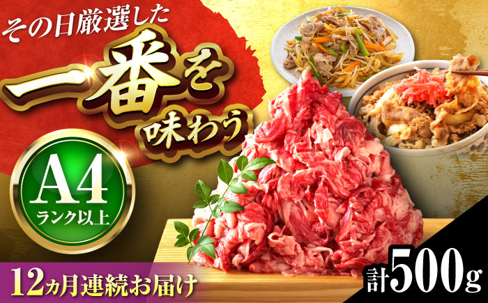 
            【全12回定期便】【A4〜A5】博多和牛 切り落とし 500g 吉富町/株式会社MEAT PLUS [BGAB100] 牛肉 切り落とし 国産 福岡県
          