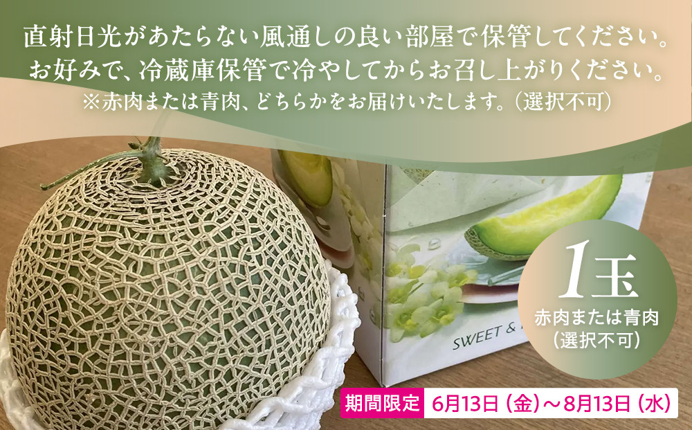 糖度１５度以上！横浜青葉メロン１玉（赤肉または青肉）