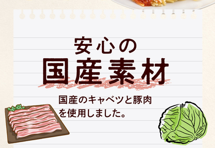 ＜2か月に1回　計6回　定期便＞国産キャベツと豚肉のロールキャベツ（4P入り）[022J18-T]