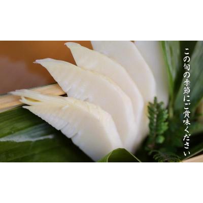 ふるさと納税 京都市 先行受付【筍農家】京都産 朝堀り湯がきたけのこ 優秀品 1KG(3-5本)皮なし