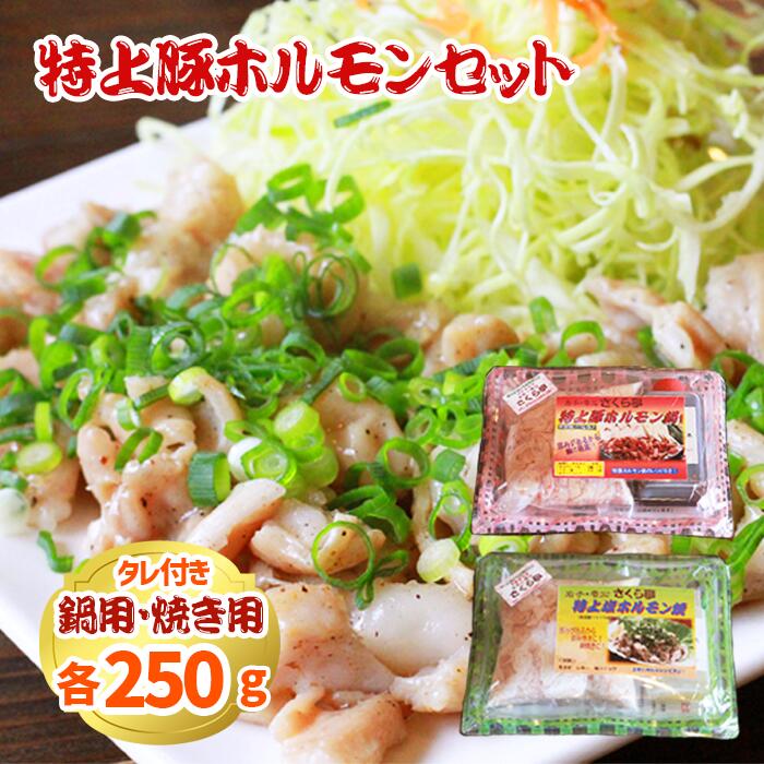 【ふるさと納税】 豚 肉 ホルモン おすすめ ホルモン鍋 特上 豚ホルモン 鍋 焼肉 焼き肉 塩焼き 国産 希少 特上塩ホルモン焼セット 鍋用 250g 塩焼き用 250g 総量500g タレ付き 直腸のみ使用 行列のできる店 ギフト お取り寄せ レシピあり さくら亭 岩手県 雫石町 送料無料