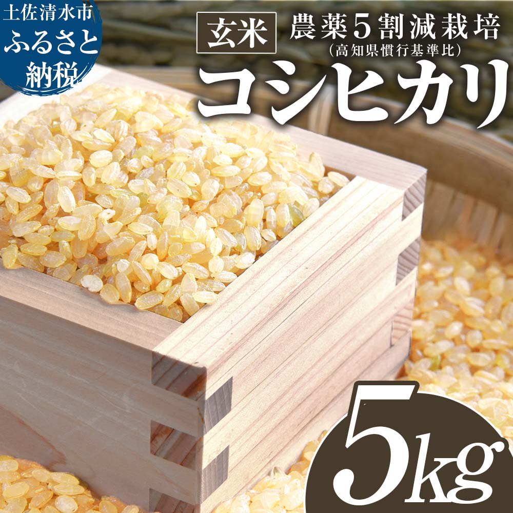 【ふるさと納税】 玄米 コシヒカリ 5kg 5キロ 農薬5割減栽培 お米 おこめ 米 こめ ごはん 飯 こしひかり ブランド米 おいしい 国産 土佐清水産 送料無料 高知県 土佐清水市 故郷納税 返礼品 高知 15000円【R01395】