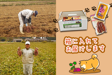 ★常温保存★農福連携★＜蜜芋 国富金時セット (蜜芋400g×5＋干し芋150g×3)＞翌月末迄に順次出荷【 農福連携 芋 いも イモ サツマイモ さつまいも 甘藷 かんしょ 焼き芋 焼芋 焼いも ス