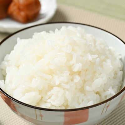 ふるさと納税 古河市 【令和7年産】にじのきらめき 精米5kg【荒川アグリ】 | 米 ※2025年10月〜発送 _DH04 |  | 01