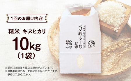 【全3回定期便】お米 10キロ 米 お米 白米 コメ おこめ 10kg 大阪府高槻市/ベジ彩ファーム[AOEJ011]