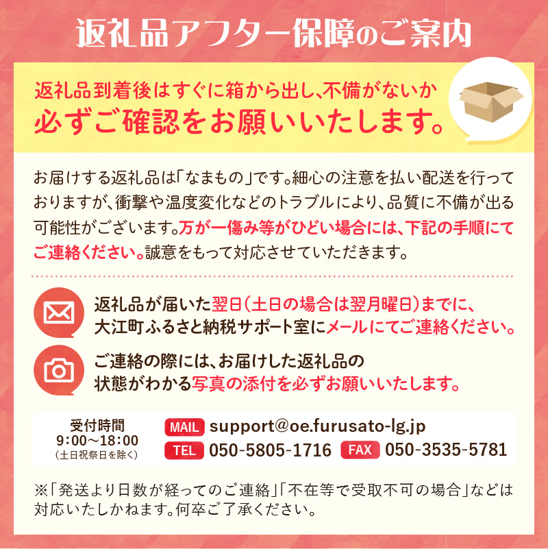 《先行受付》サンふじ約3kg 【2026年12月上旬頃～発送予定】【山形りんご・大江町産】