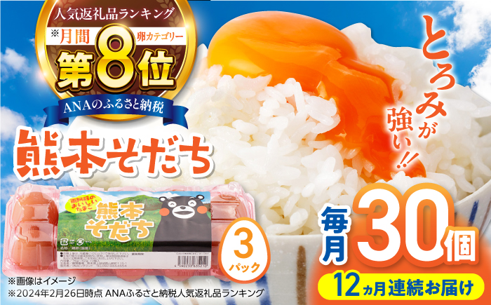 【全12回定期便】熊本県産 熊本そだち 30個入り ( 10個入り × 3パック ) 山都町 たまご 卵【蘇陽農場】 [YBE032]