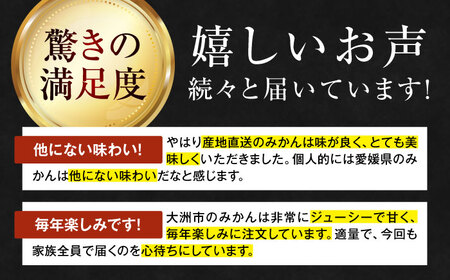 みかん 5kg（早生）【11月中旬から順次発送】みかん[AGAO005]