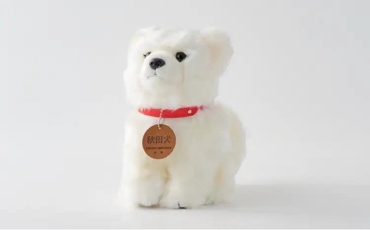 65P7304 秋田犬白毛(鼻黒)ぬいぐるみ　座りＭサイズ【秋田犬保存会】