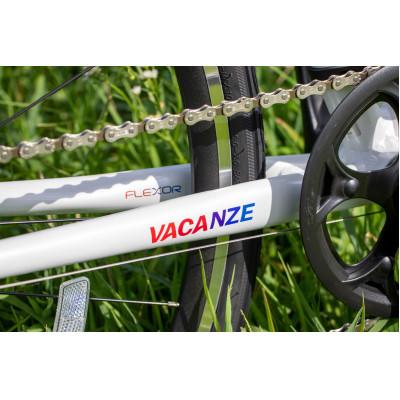 ふるさと納税 越谷市 クロスバイク NESTO「VACANZE2」440mm ブラック |  | 02