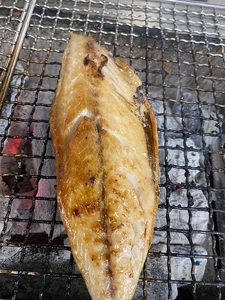a12-218　【焼津ひもの食堂】焼いてあるとろさばひもの10枚
