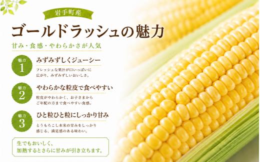 【先行予約】とうもろこし ゴールドラッシュ Lサイズ 約10kg 約28本 岩手県岩手町産 スイートコーン トウモロコシ とうきび コーン 野菜 夏野菜 産地直送 2027年発送