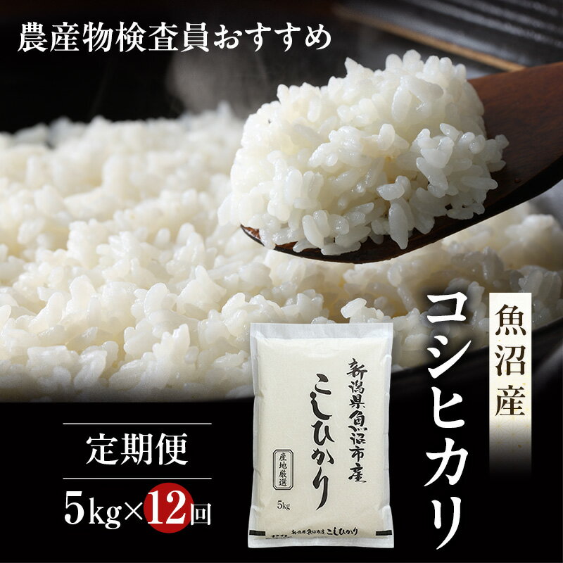 【ふるさと納税】農産物検査員お奨め 魚沼産 こしひかり 精米 5kg 12ヶ月 連続お届け （ 米 定期便 コシヒカリ お米 定期 新潟 魚沼 魚沼産コシヒカリ 魚沼産こしひかり こめ コメ おこめ 白米 お楽しみ 12回 ） 新潟県 　お届け：寄附入金月の翌月より発送