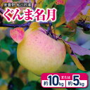 【ふるさと納税】*山とりんご 安曇野 松川村産 ぐんま名月 約 5kg ・ 10kg ｜ リンゴ りんご 林檎 果物 フルーツ 果実 果汁 ぐんま名月 ぐんまめいげつ 長野県 松川村 北アルプス