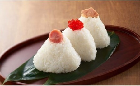 【先行予約・令和7年産新米】真空パック 特別栽培米 コシヒカリ 無洗米 6kg（3kg×2袋） 山波農場のお米 新潟県産 [Y0061]