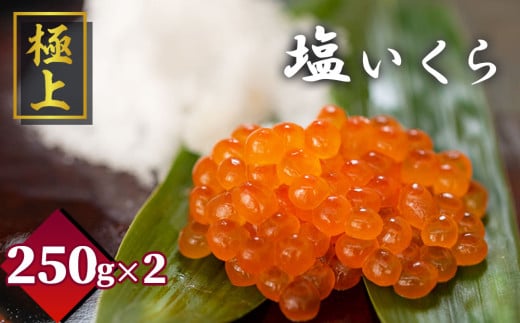 fc-21-010 「極上」 塩いくら 250g ×2 いわて潮風堂 TRS食品