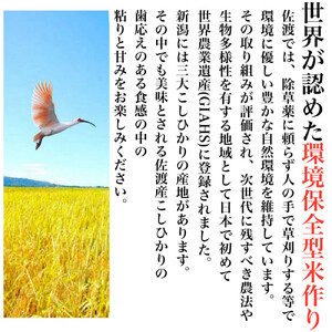 【令和7年度産新米・定期便予約】佐渡産コシヒカリ そのまんま真空パック 900g×6袋(精米)　全12回