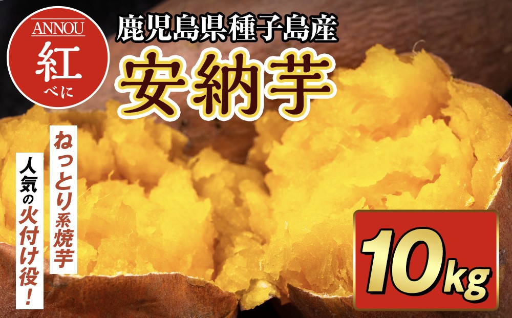 
            種子島産安納紅いも10kg 2S～Sサイズ（61g～150g）
          