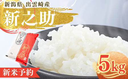 【先行予約・令和7年10月以降発送予定】新米予約 新潟県産 「新之助」 5kg 出雲崎産 令和7年産 新之助 新之助 新之助 新之助 精米 白米