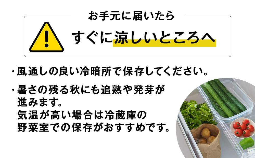 <2026年秋発送>【秋山農園】北海道産 きたあかり５kg