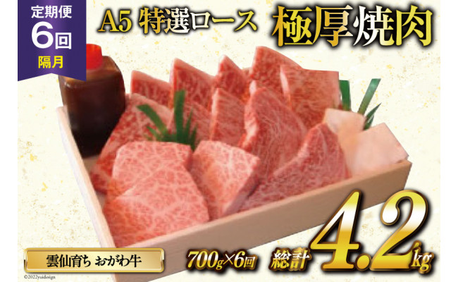 
定期便 6回 牛肉 雲仙育ち おがわ牛 A5 特選 ロース 極厚焼肉 総計4.2kg(700g×6回) 黒毛和牛 冷凍 / 焼肉おがわ / 長崎県 雲仙市
