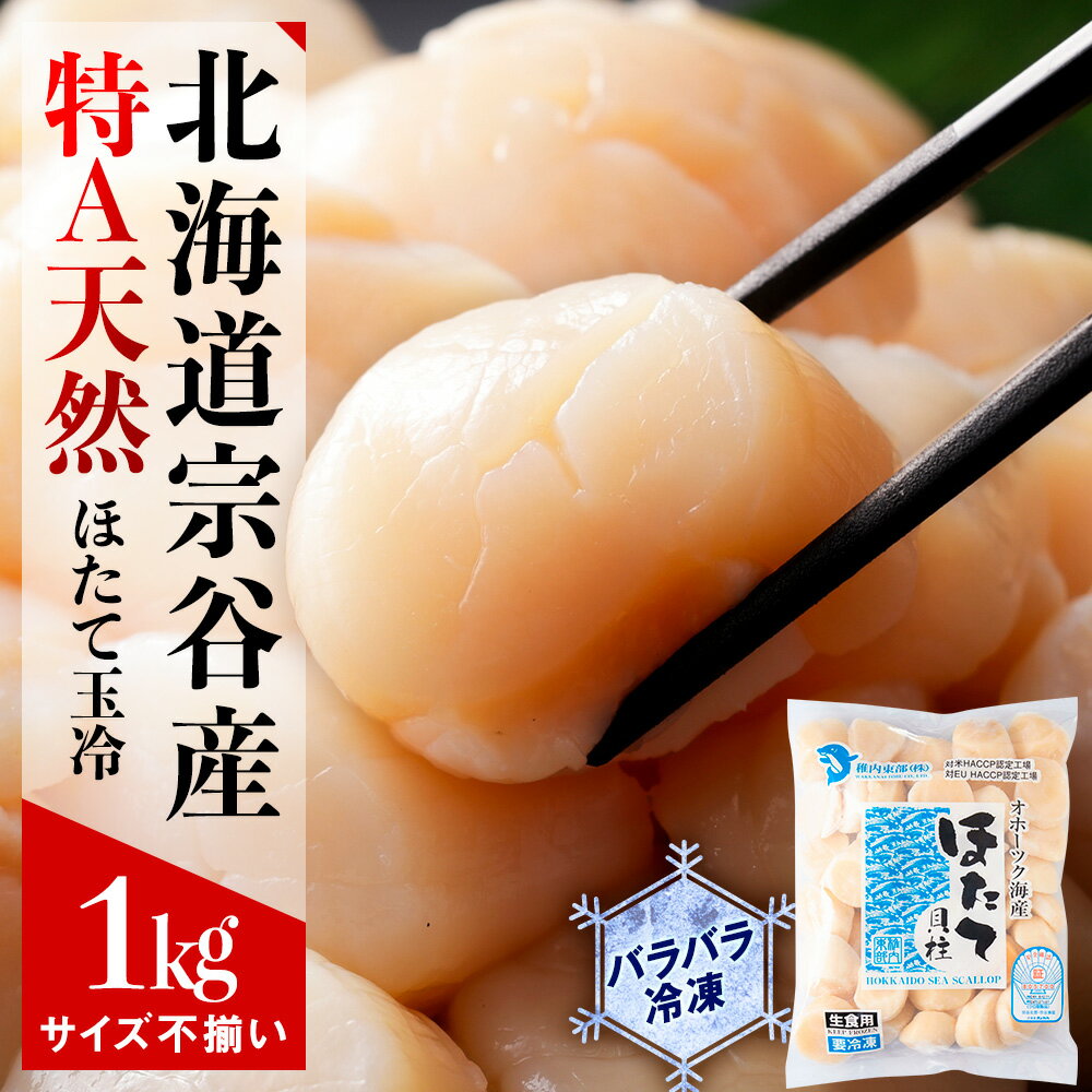 【ふるさと納税】宗谷産 天然生食用 ほたて貝柱 1kg (特A無選別) ほたて ホタテ 帆立 貝柱 貝 刺身 生食 海鮮 海産物 北海道ふるさと納税 稚内 ふるさと納税 北海道 【配送不可地域：離島・沖縄県】