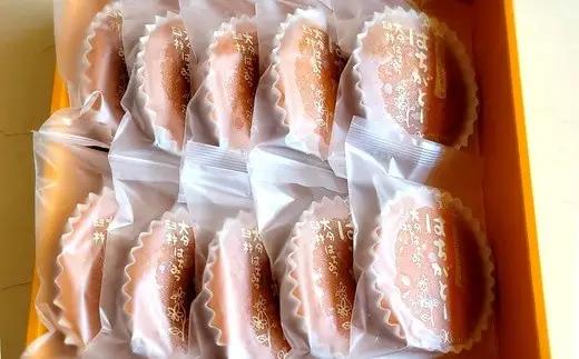 《お父さんのはちみつマドレーヌ》はちがとー　10個入　焼き菓子　スイーツ　ギフト　贈答　