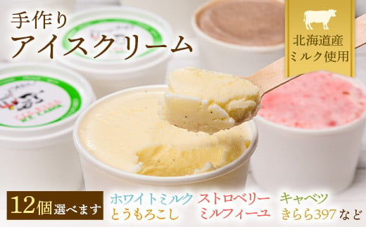
《2024年4月以降発送 配送月選べます》北海道産 南幌町 手作りアイスクリーム 120ml×12個セット (お好み詰め合わせ) NP1-024
