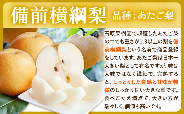 詰め合わせ4㎏箱赤秀 横綱梨2玉(1～1.5㎏玉)・乙女梨4～6玉 石原果樹園 フルーツ 果物 新鮮《2026年11月中旬-12月下旬頃より発送予定》岡山県 浅口市 果物 フルーツ 梨 詰め合わせ あ