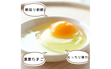 平飼い！高級有精卵 50個入り（Lサイズ） / 玉子 たまご 高級 平飼い 贈答 【ymg609-p-50A】